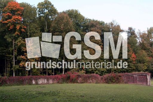 B-Herbststimmung 026.jpg